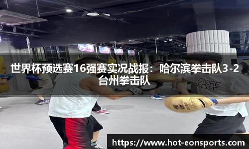 世界杯预选赛16强赛实况战报：哈尔滨拳击队3-2台州拳击队